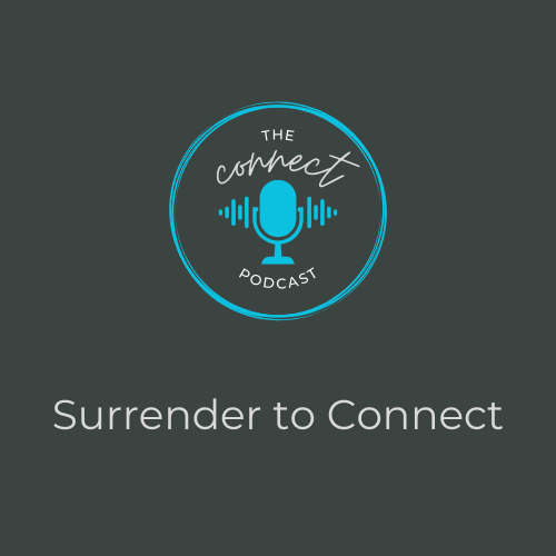 The Connect Companion Journal - Episode 28